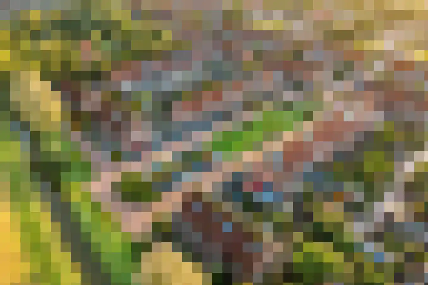 Ploegstraat 38 Purmerend thumbnail 42