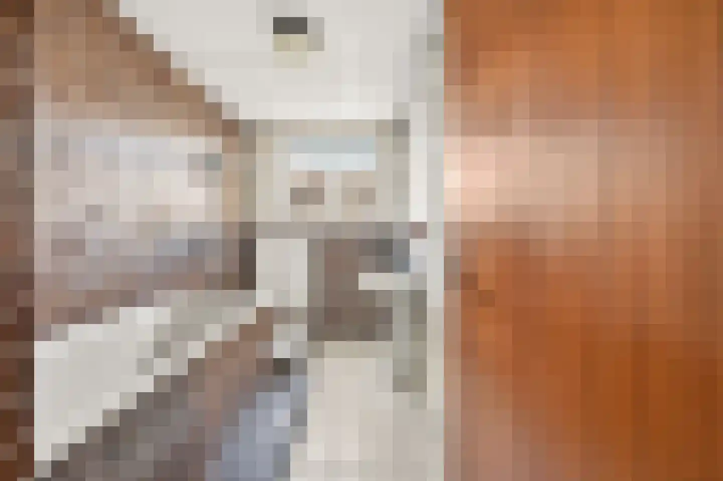 Ploegstraat 41 B Rotterdam thumbnail 23