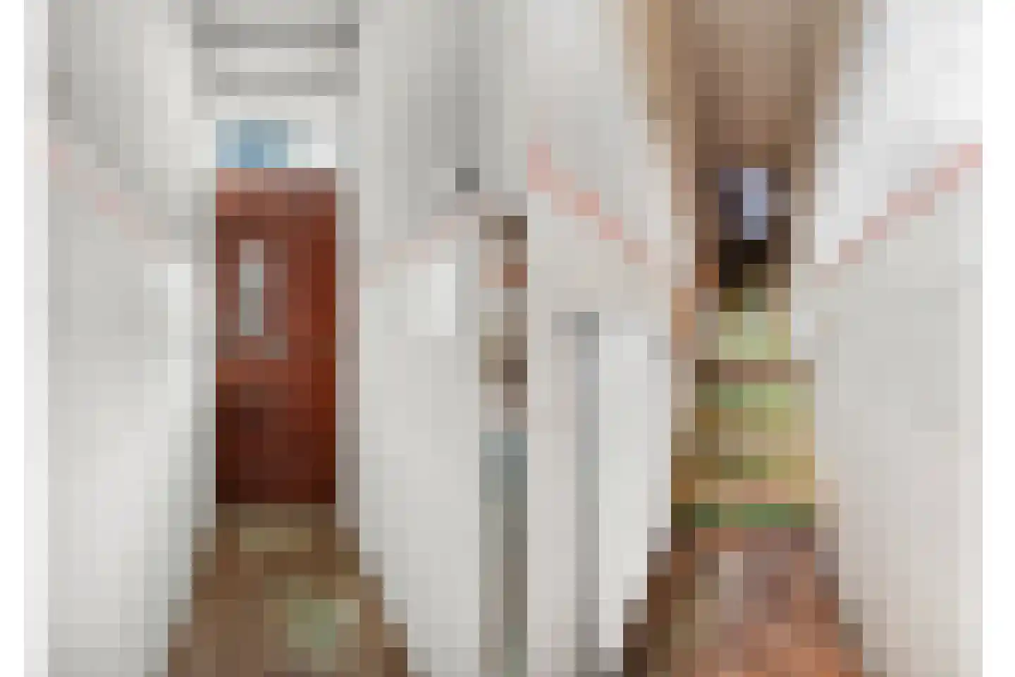 Ploegstraat 41 B Rotterdam thumbnail 31
