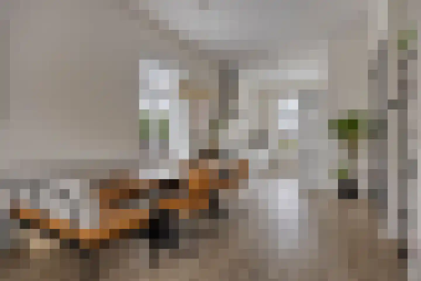 Ploegstraat 41 Vught thumbnail 11