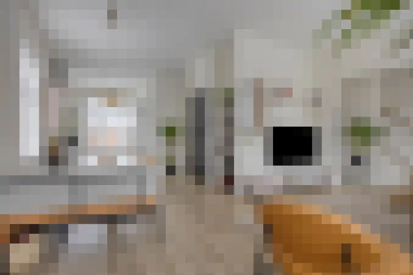 Ploegstraat 41 Vught thumbnail 13