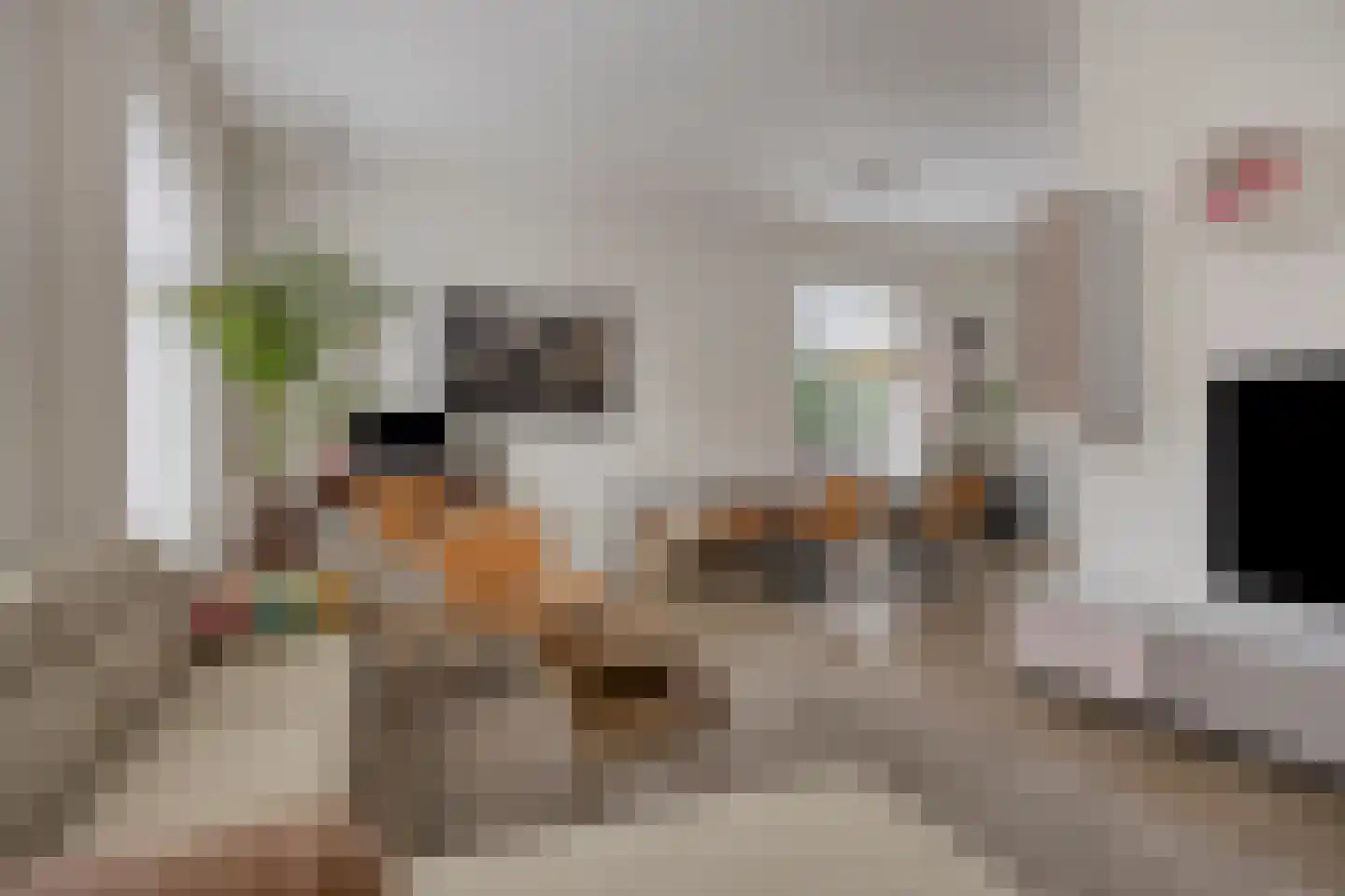 Ploegstraat 41 Vught thumbnail 15
