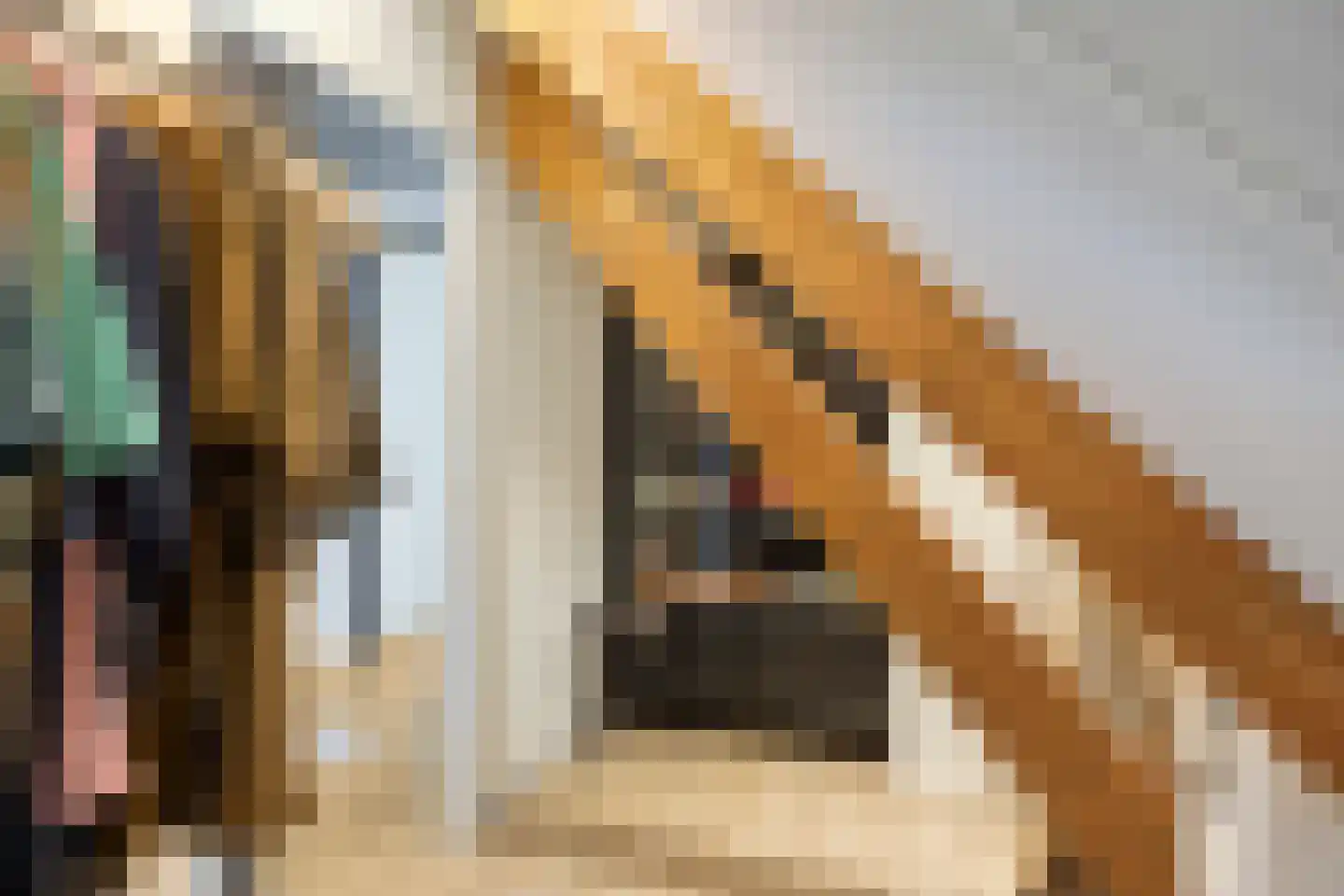 Ploegstraat 41 Vught thumbnail 28