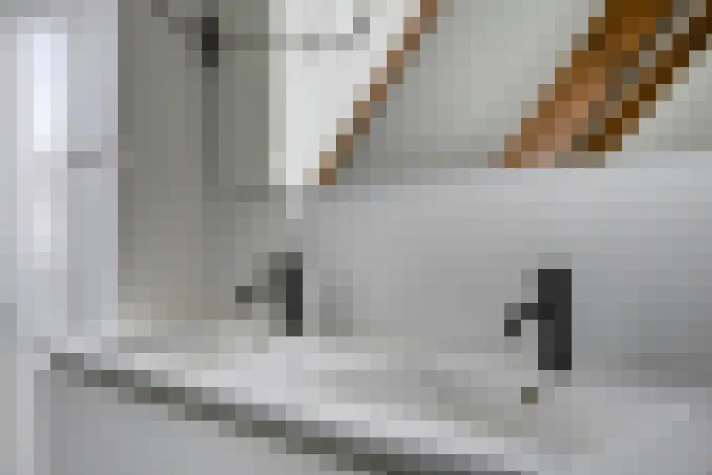 Ploegstraat 41 Vught thumbnail 34
