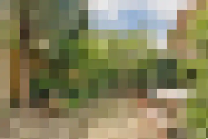 Ploegstraat 52 Amsterdam thumbnail 4