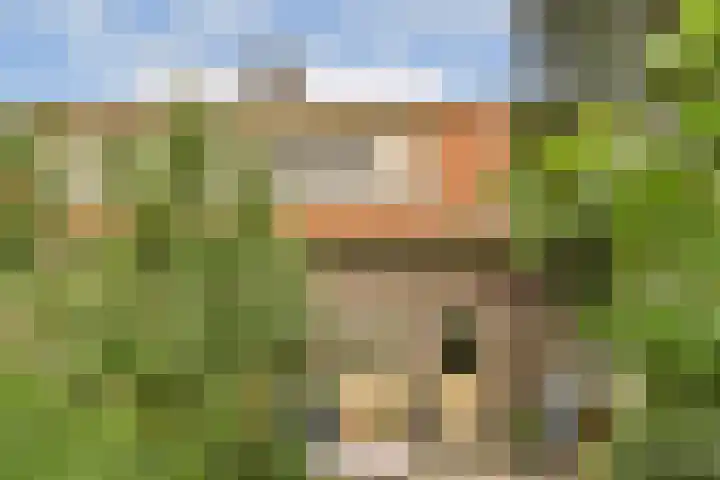 Ploegstraat 52 Amsterdam thumbnail 5
