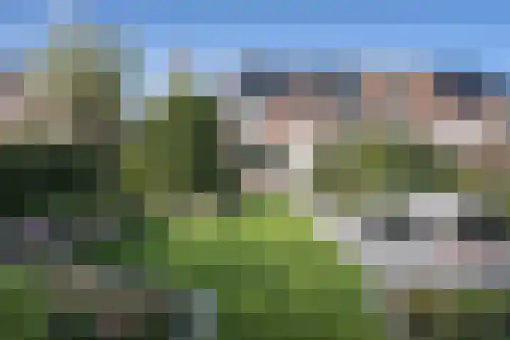 Ploegstraat 53 Purmerend thumbnail 27