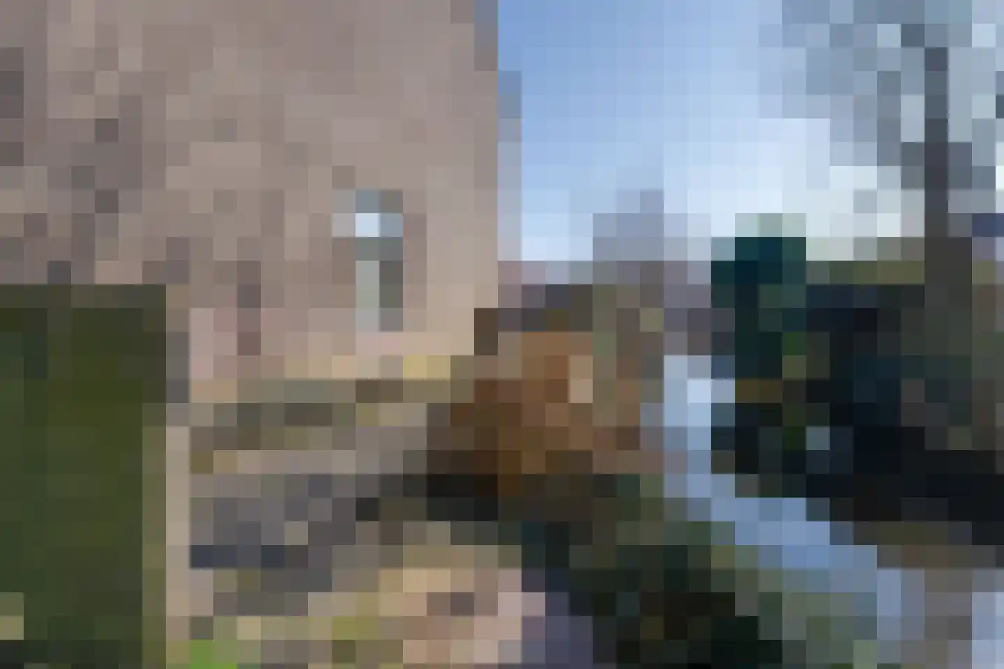 Ploegstraat 53 Purmerend thumbnail 38