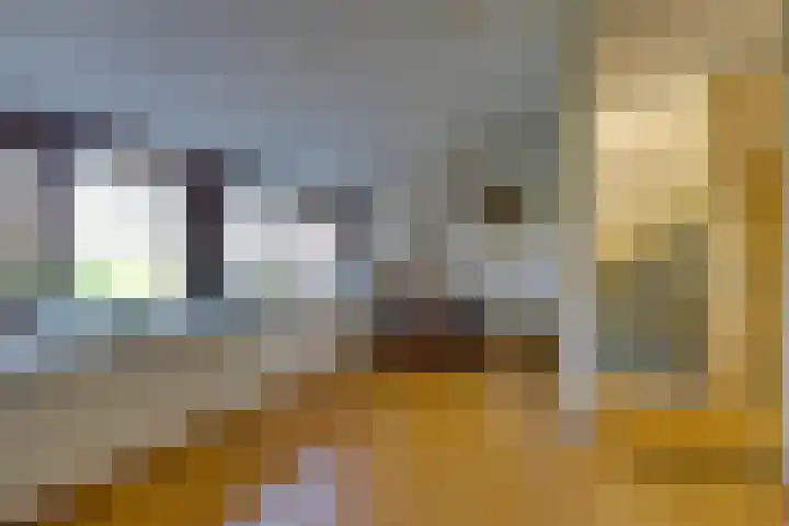 Ploegstraat 53 Purmerend thumbnail 44