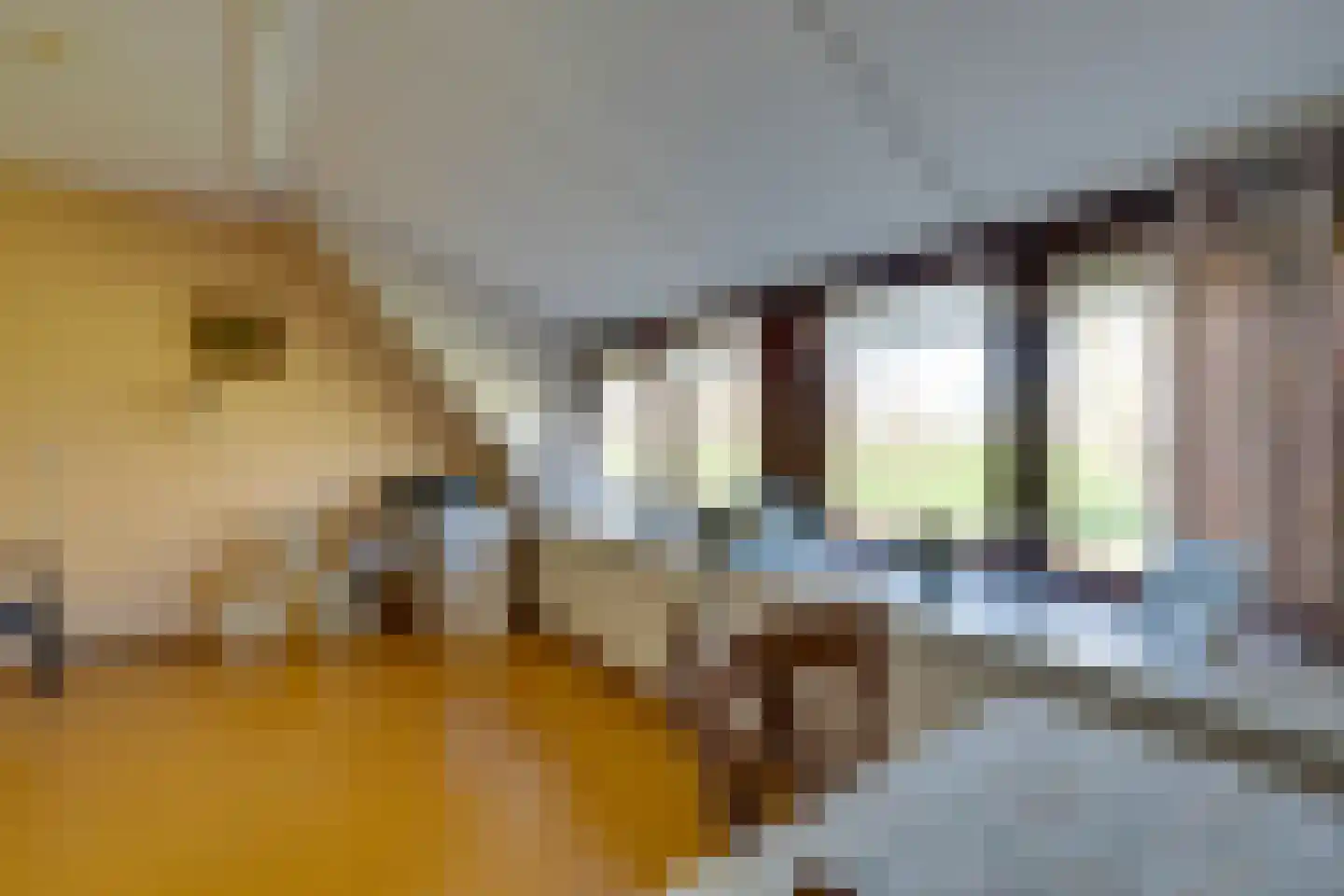 Ploegstraat 53 Purmerend thumbnail 46