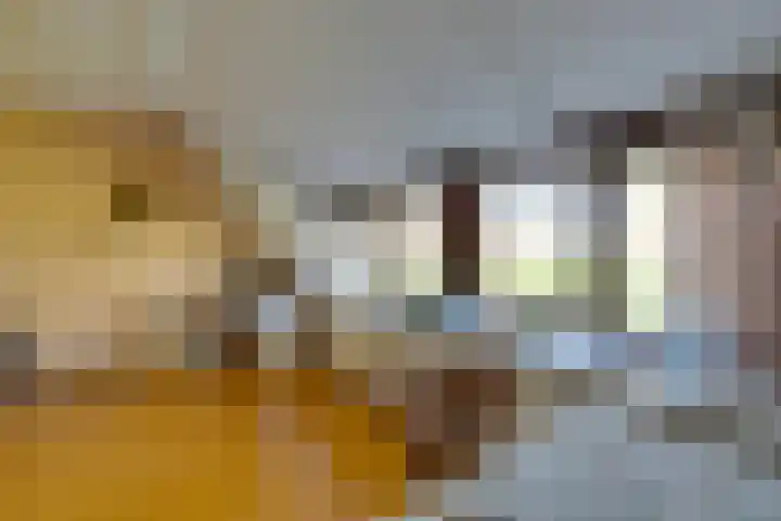 Ploegstraat 53 Purmerend thumbnail 46