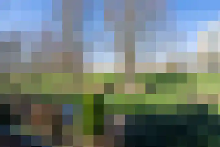 Ploegstraat 53 Purmerend thumbnail 49