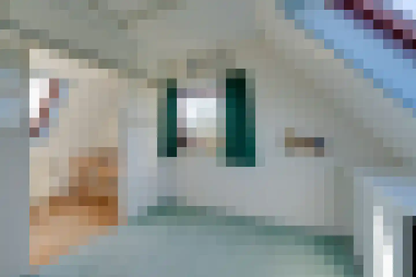 Ploegstraat 53 Purmerend thumbnail 55