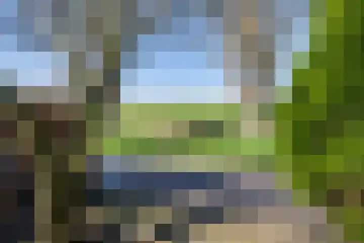 Ploegstraat 53 Purmerend thumbnail 6