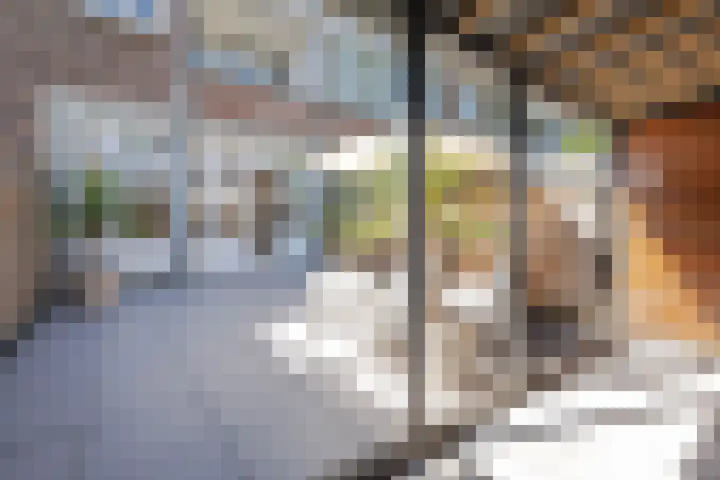 Ploegstraat 55 B Rotterdam thumbnail 19