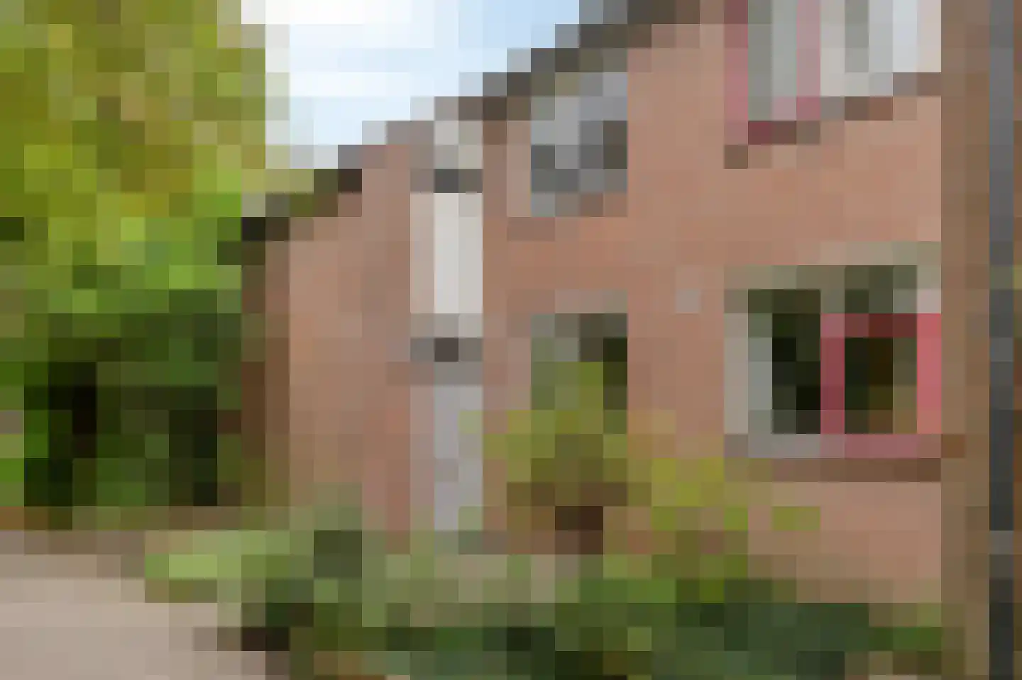 Ploegstraat 6 in Alkmaar