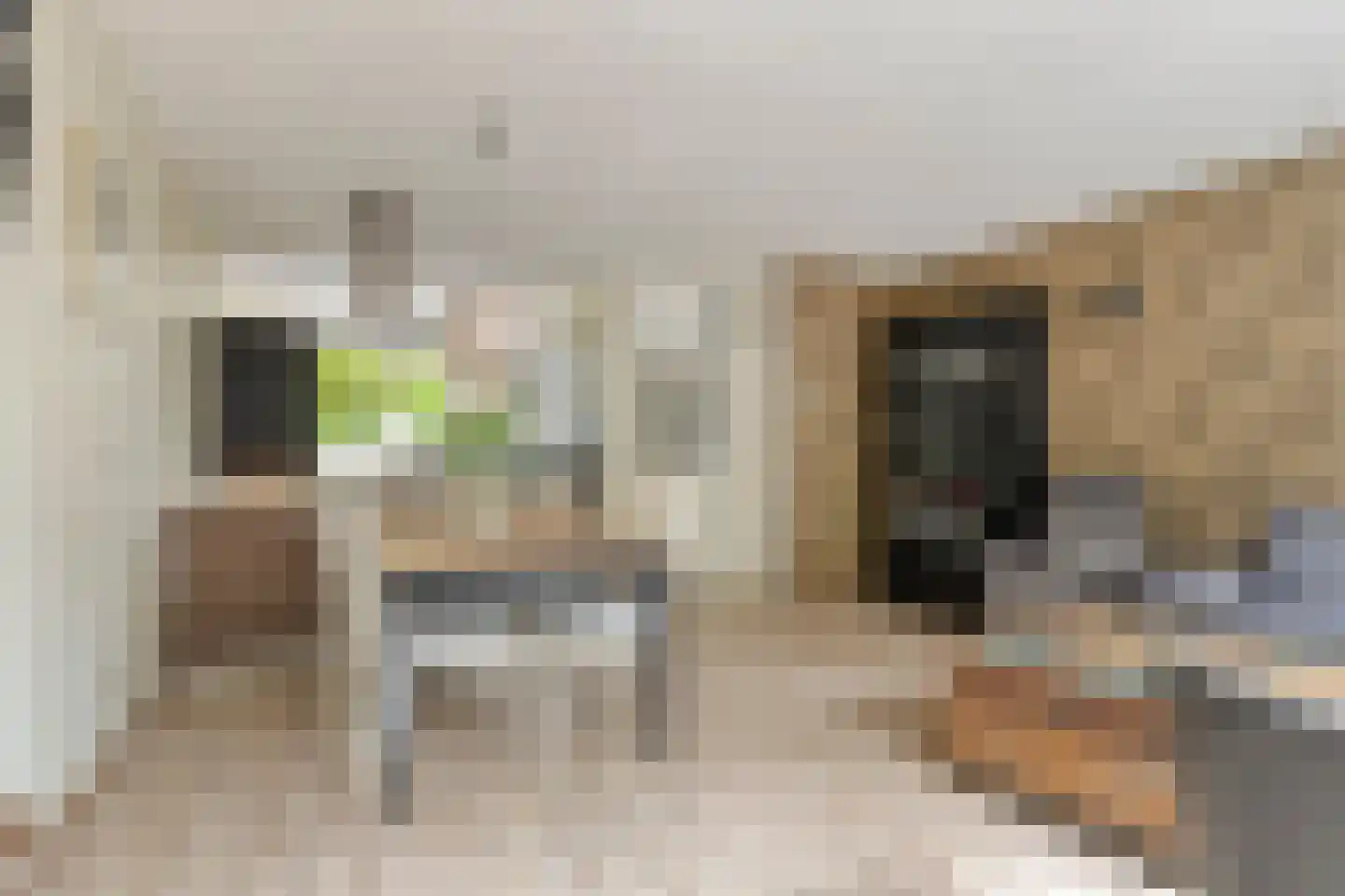 Ploegstraat 6 Alkmaar thumbnail 10