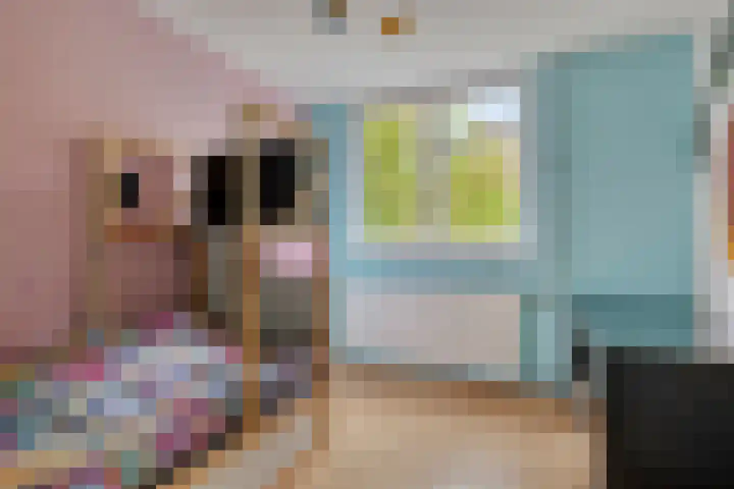 Ploegstraat 6 Alkmaar thumbnail 19
