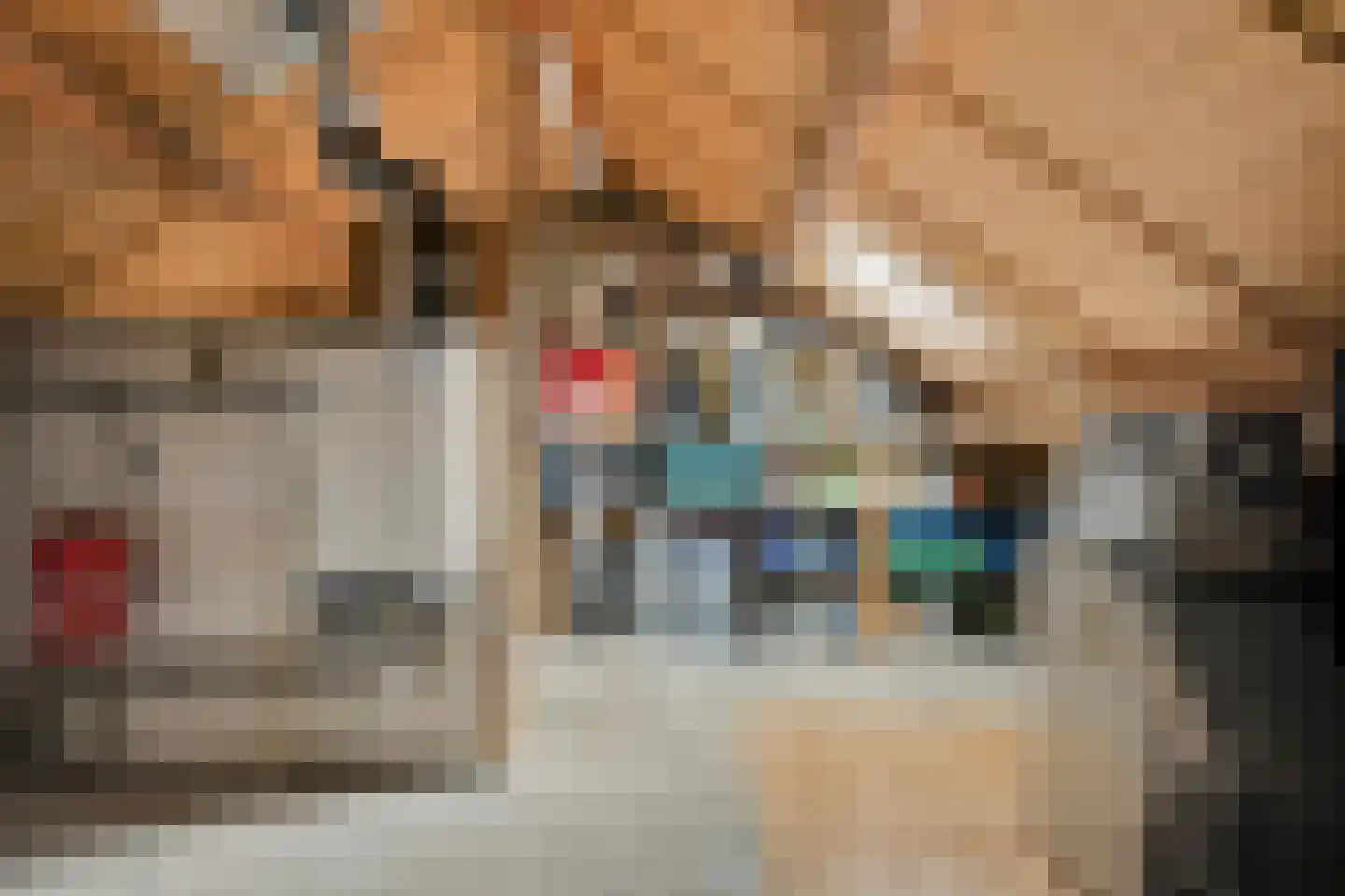 Ploegstraat 6 Alkmaar thumbnail 22