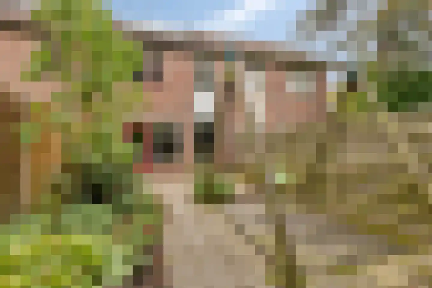 Ploegstraat 6 Alkmaar thumbnail 6