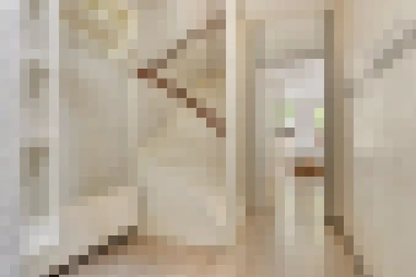 Ploegstraat 6 Alkmaar thumbnail 8