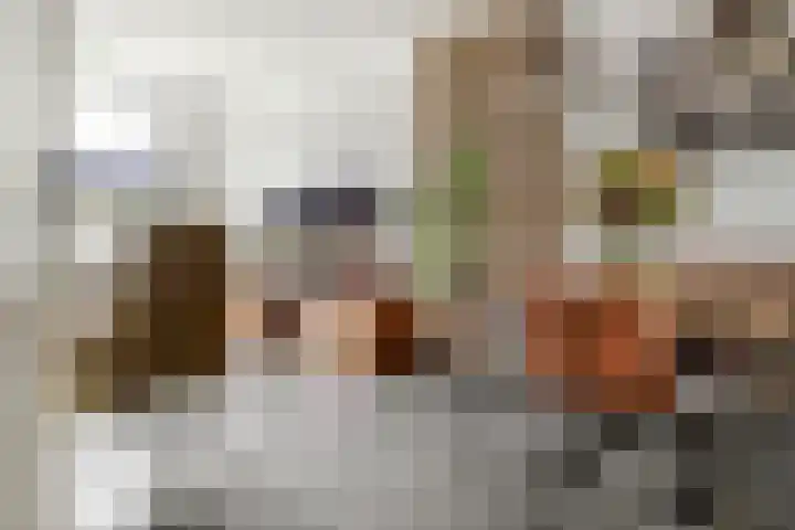 Ploegstraat 6 Bergharen thumbnail 10