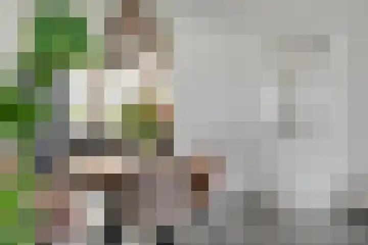 Ploegstraat 6 Bergharen thumbnail 11