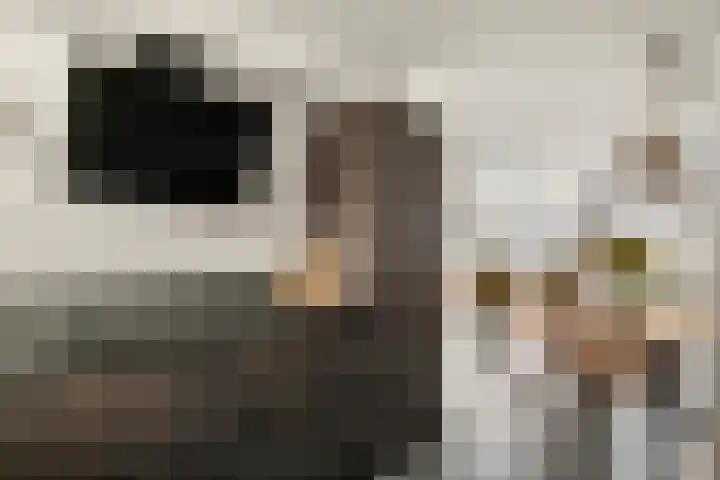 Ploegstraat 6 Bergharen thumbnail 12
