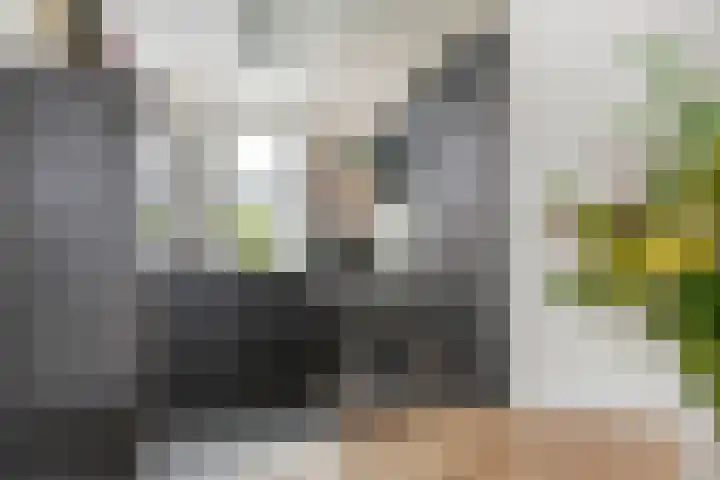 Ploegstraat 6 Bergharen thumbnail 13