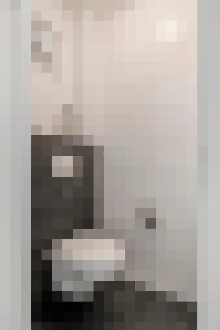Ploegstraat 6 Bergharen thumbnail 15