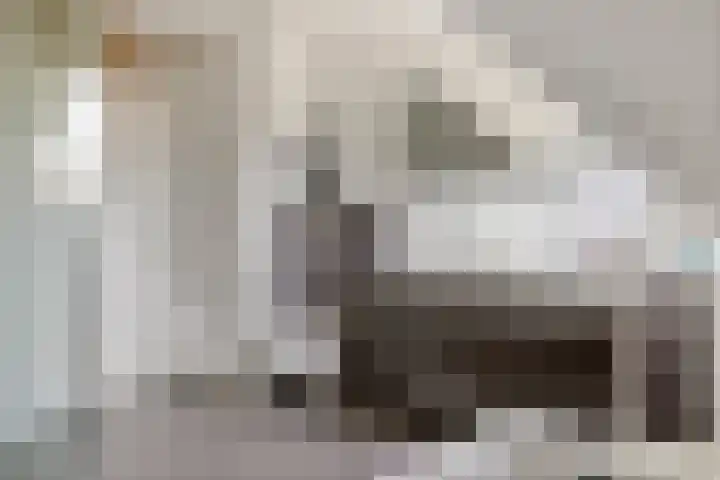 Ploegstraat 6 Bergharen thumbnail 24