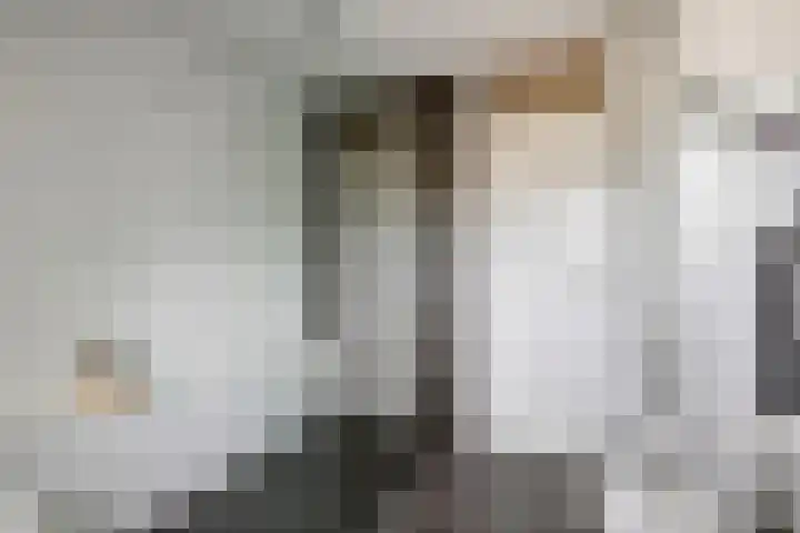 Ploegstraat 6 Bergharen thumbnail 25
