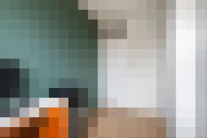 Ploegstraat 6 Bergharen thumbnail 28