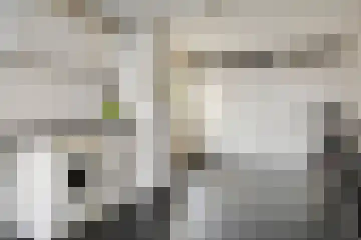 Ploegstraat 6 Bergharen thumbnail 33