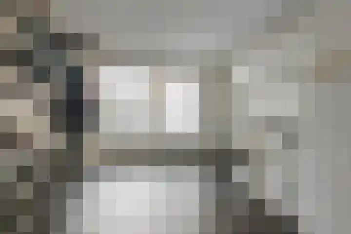 Ploegstraat 6 Bergharen thumbnail 34