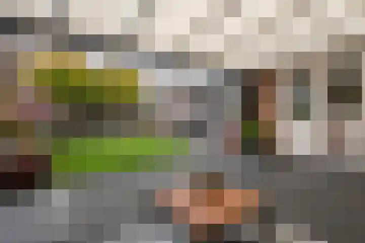 Ploegstraat 6 Bergharen thumbnail 35