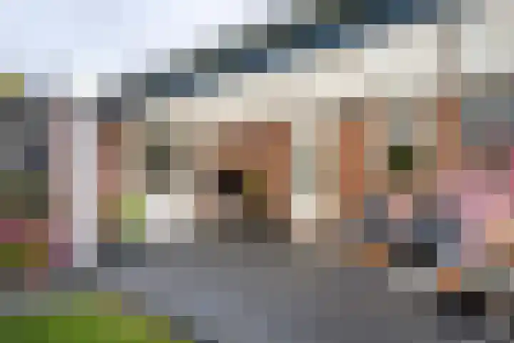 Ploegstraat 6 Bergharen thumbnail 37