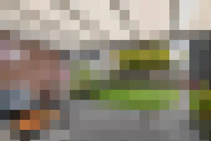 Ploegstraat 6 Bergharen thumbnail 38