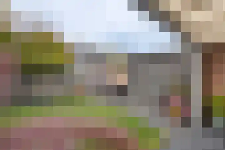 Ploegstraat 6 Bergharen thumbnail 39