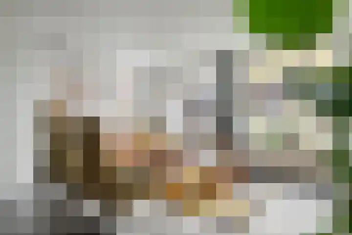 Ploegstraat 6 Bergharen thumbnail 4