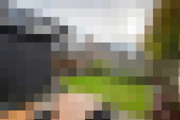 Ploegstraat 6 Bergharen thumbnail 40