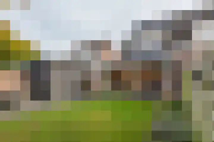 Ploegstraat 6 Bergharen thumbnail 41