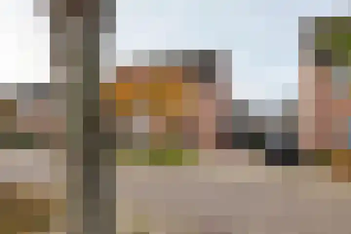 Ploegstraat 6 Bergharen thumbnail 43