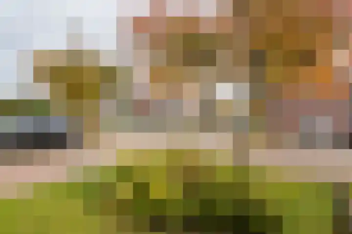 Ploegstraat 6 Bergharen thumbnail 45