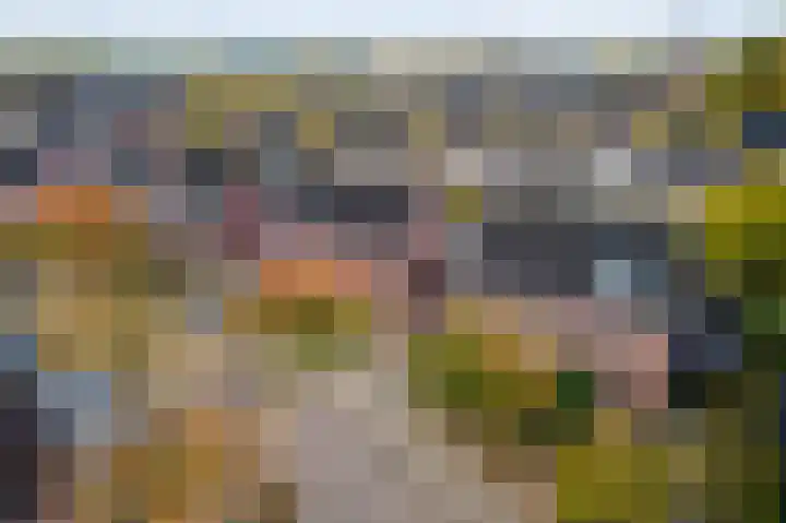 Ploegstraat 6 Bergharen thumbnail 46
