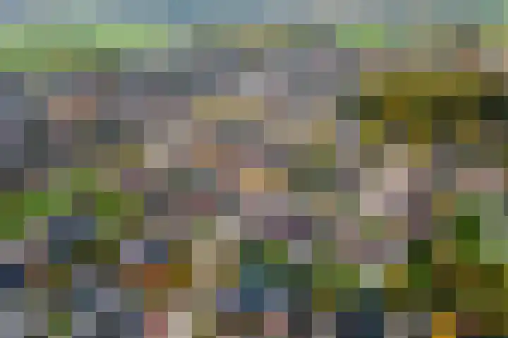 Ploegstraat 6 Bergharen thumbnail 47