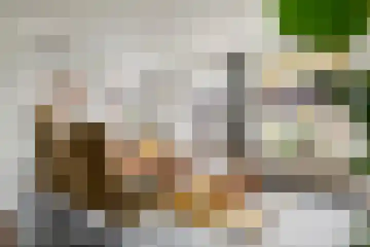 Ploegstraat 6 Bergharen thumbnail 8