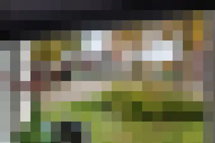 Ploegstraat 6 Bergharen thumbnail 9