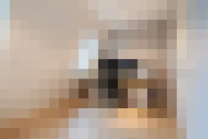Ploegstraat 89 Breda thumbnail 32