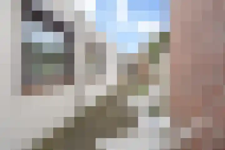 Ploegstraat 89 Breda thumbnail 39